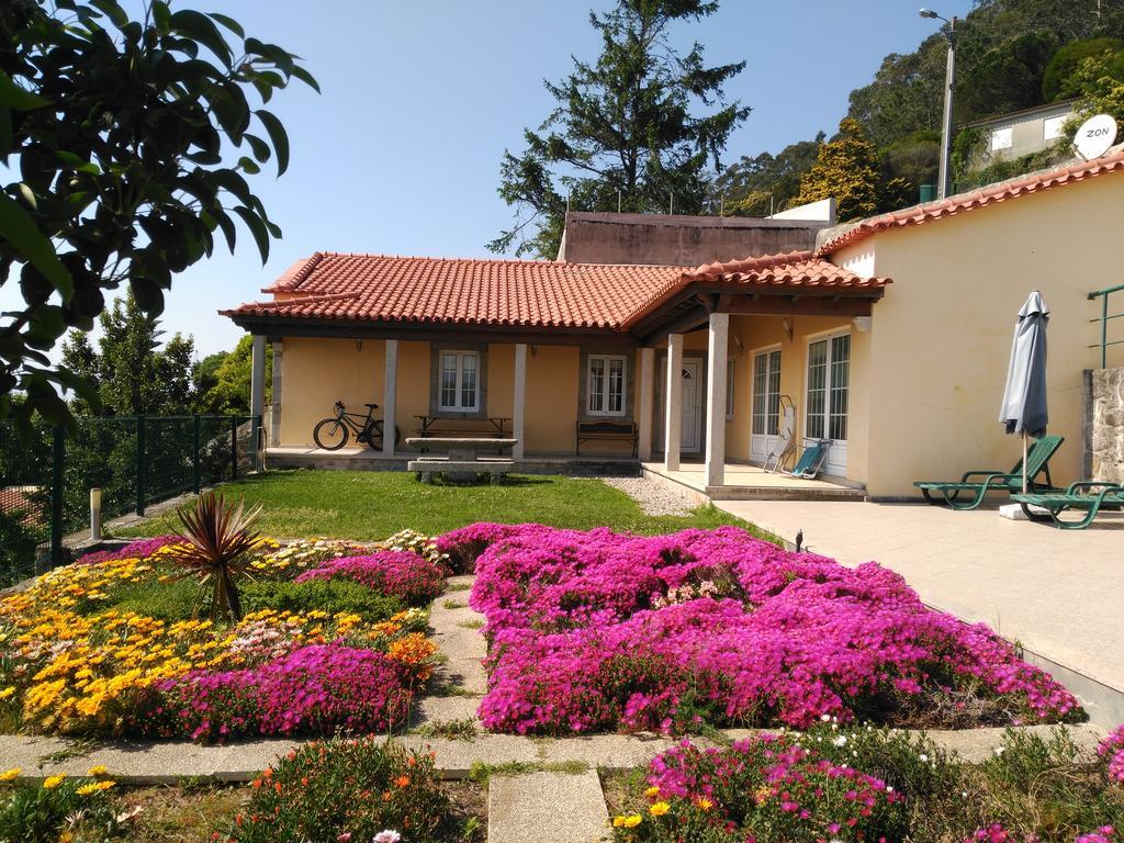 Lovely Sunny-House Viana do Castelo Kültér fotó